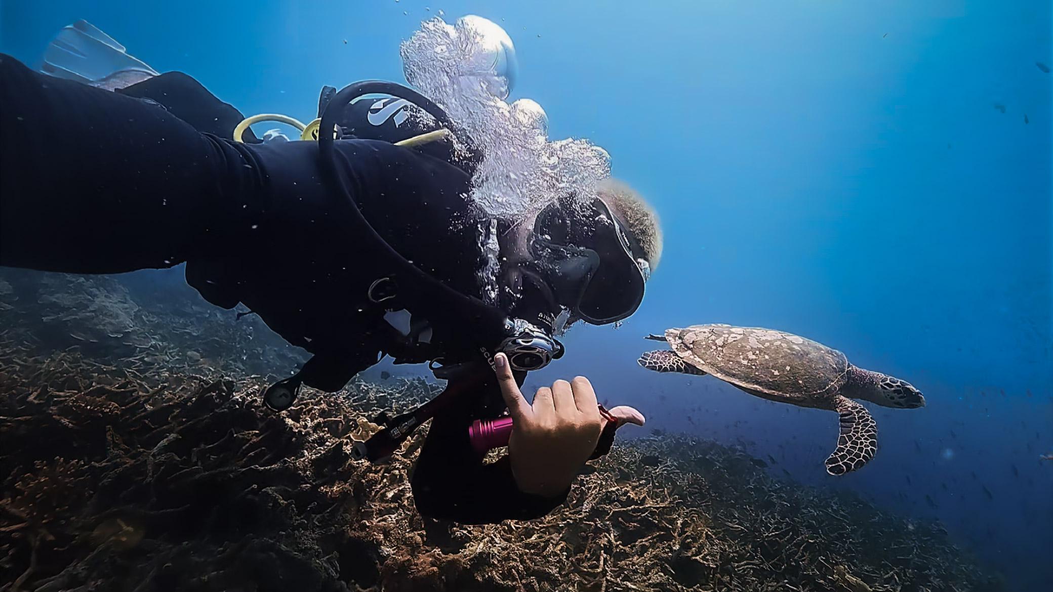 Underwater footage before and after colour grading — after colour grading