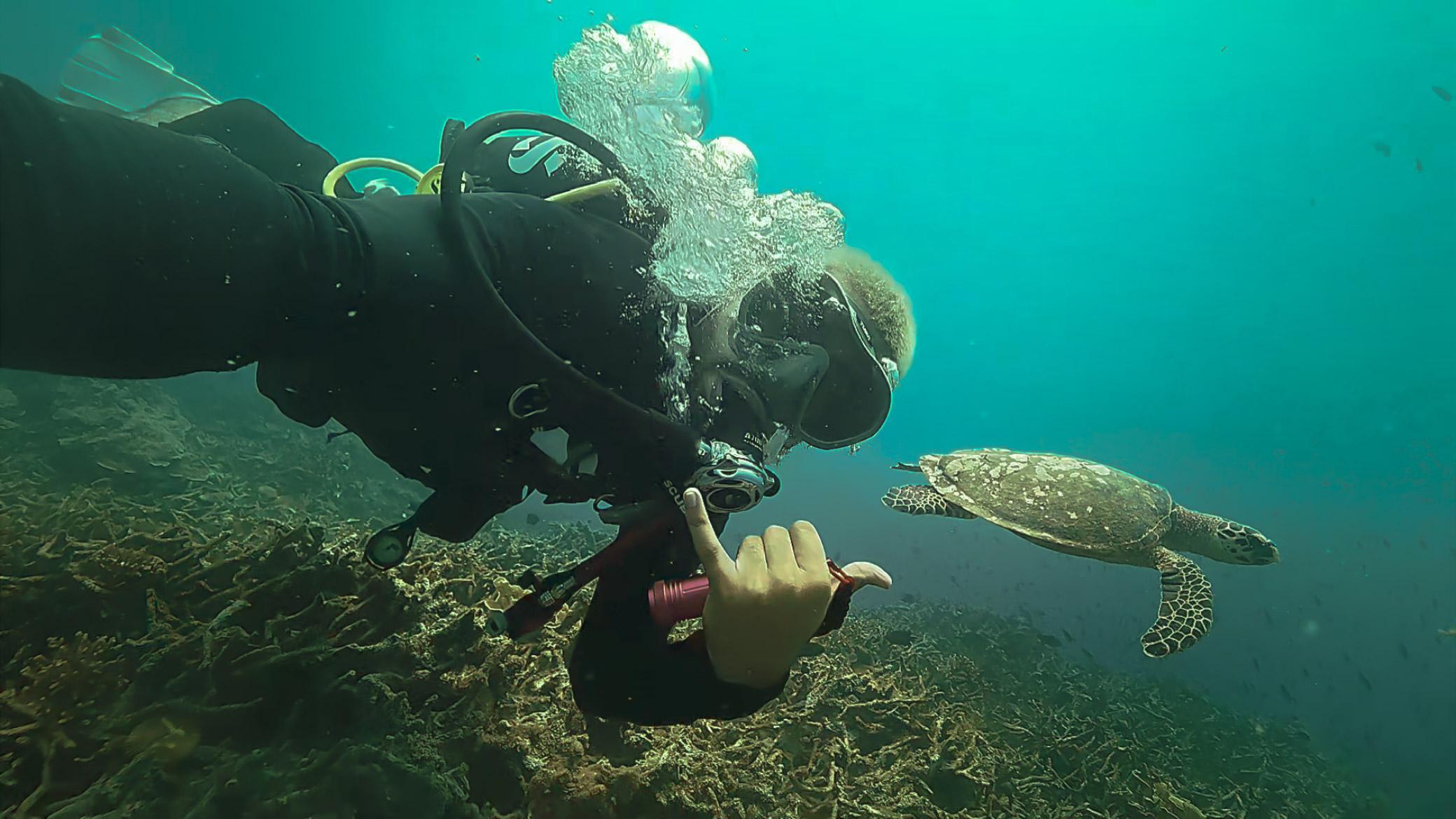Underwater footage before and after colour grading — before colour grading
